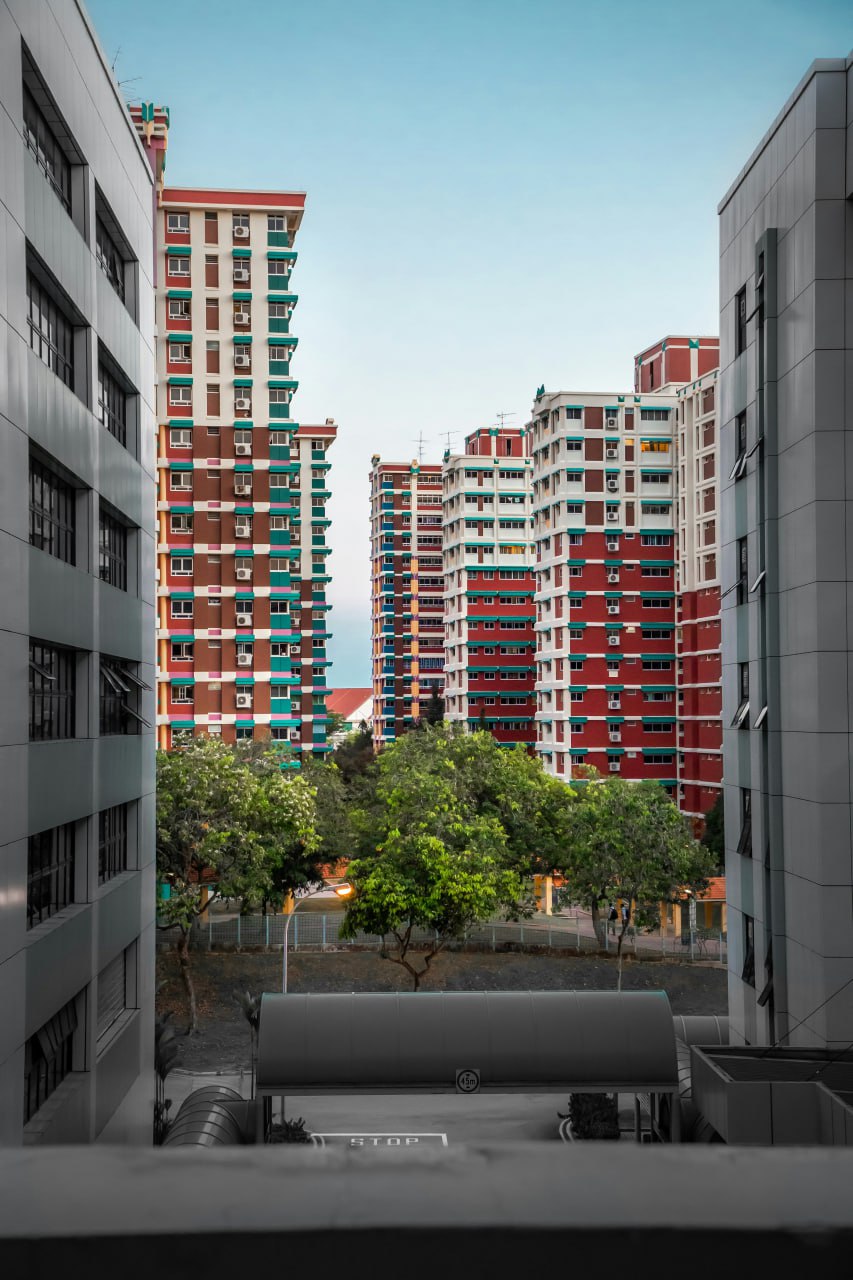 新加坡组屋租金创历史新高，公寓租金触13个月新低