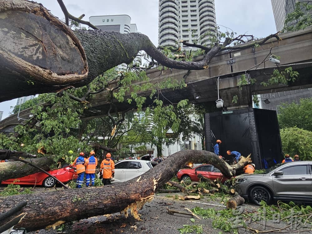 吉隆坡暴风雨致大树倒塌，压毁车辆影响单轨火车